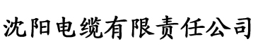 低糖海苔饼青青子衿电缆厂logo